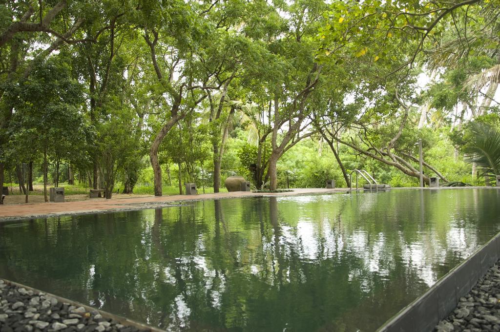 Lagoon House Rekawa タンガラ エクステリア 写真