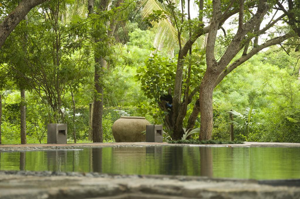 Lagoon House Rekawa タンガラ エクステリア 写真